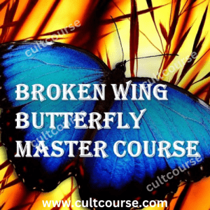 Broken Wing Butterfly Master Course