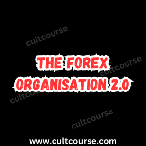 The Forex Organisation 2.0 (2022)