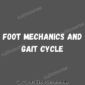 Foot Mechanics And Gait Cycle - Posturepro