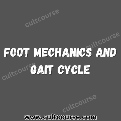 Foot Mechanics And Gait Cycle - Posturepro