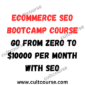 Ecommerce SEO Bootcamp Course - Go from Zero to $10000 per Month with SEO