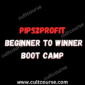 Pips2Profit - Beginner To Winner Boot Camp