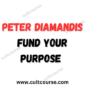 Peter Diamandis - Fund Your Purpose