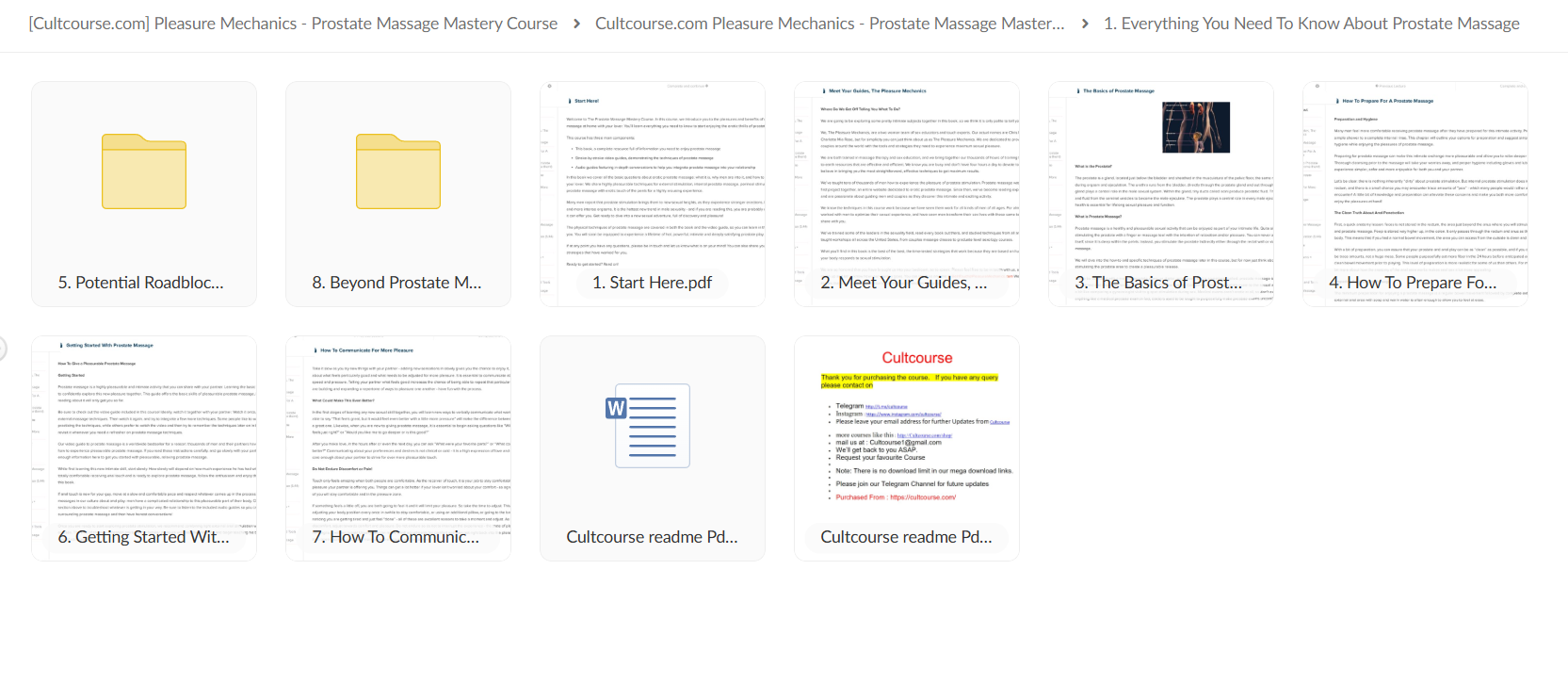 Pleasure Mechanics – Prostate Massage Mastery Course folder pic 2