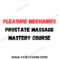 Pleasure Mechanics - Prostate Massage Mastery Course